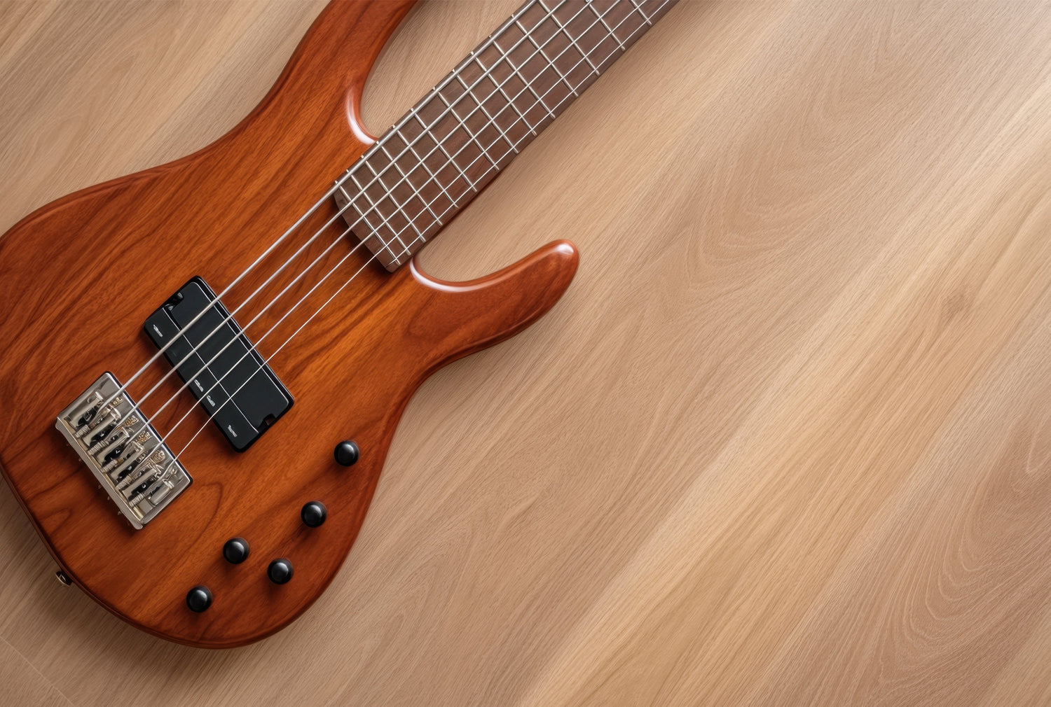 Bass Guitar